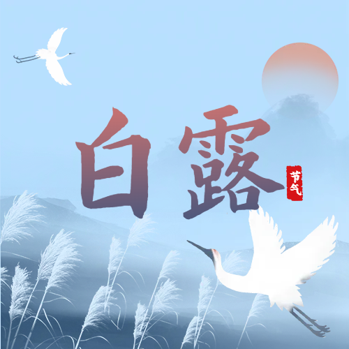 白露 | 蒹葭蒼蒼，白露為霜