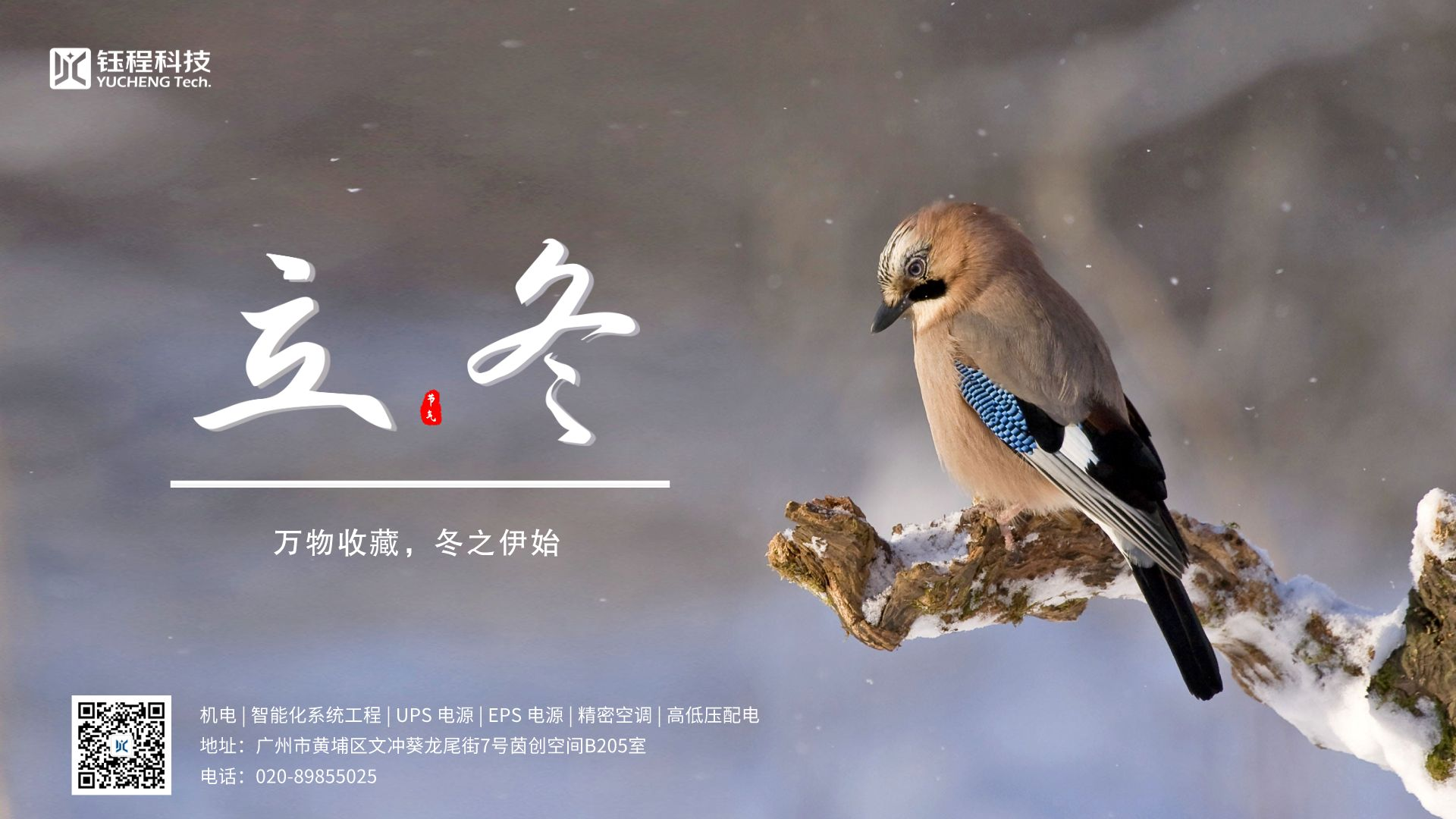 立冬 | 倏忽秋又盡，今朝恰立冬